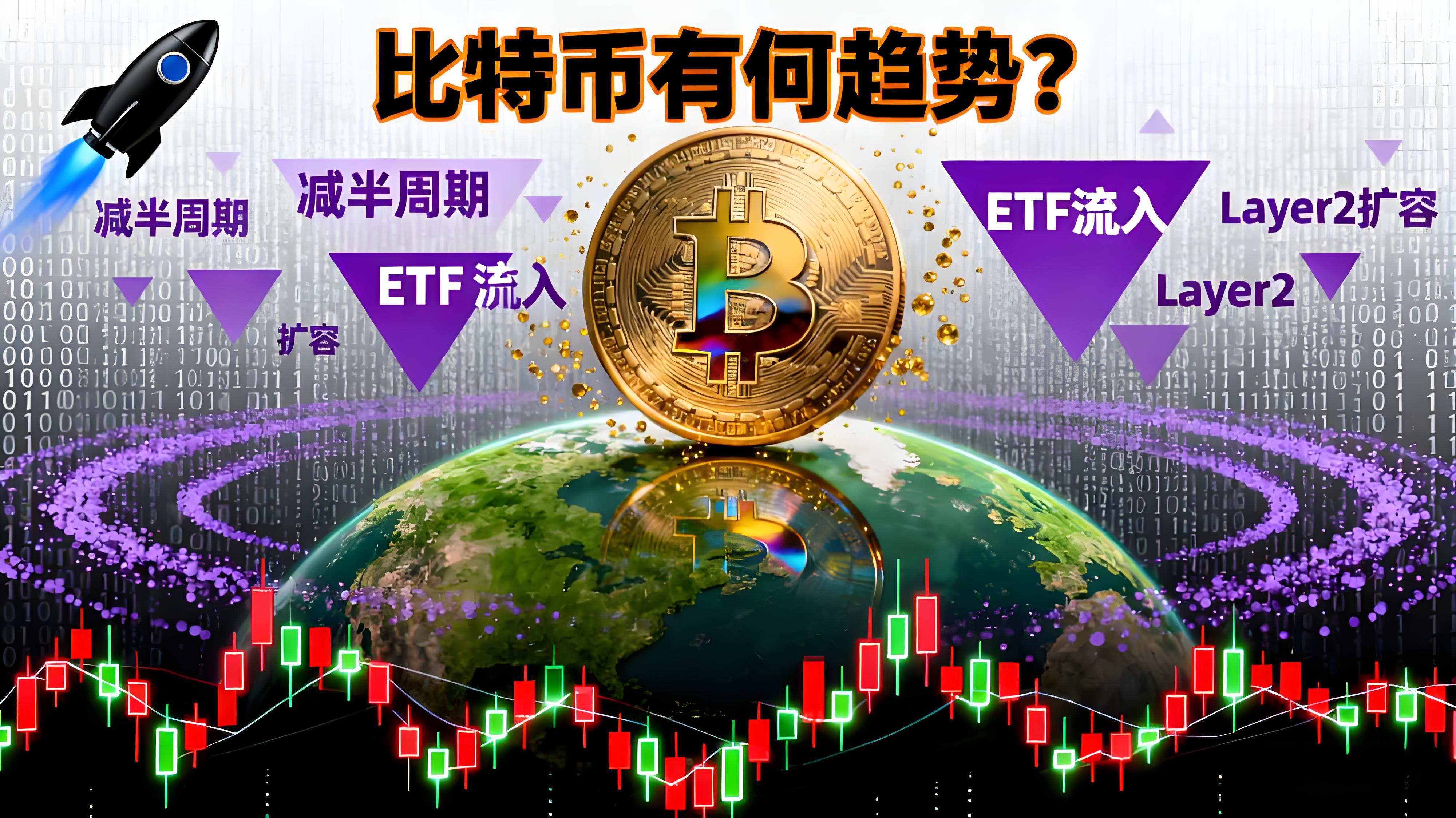 比特币二十年投资者有何趋势？